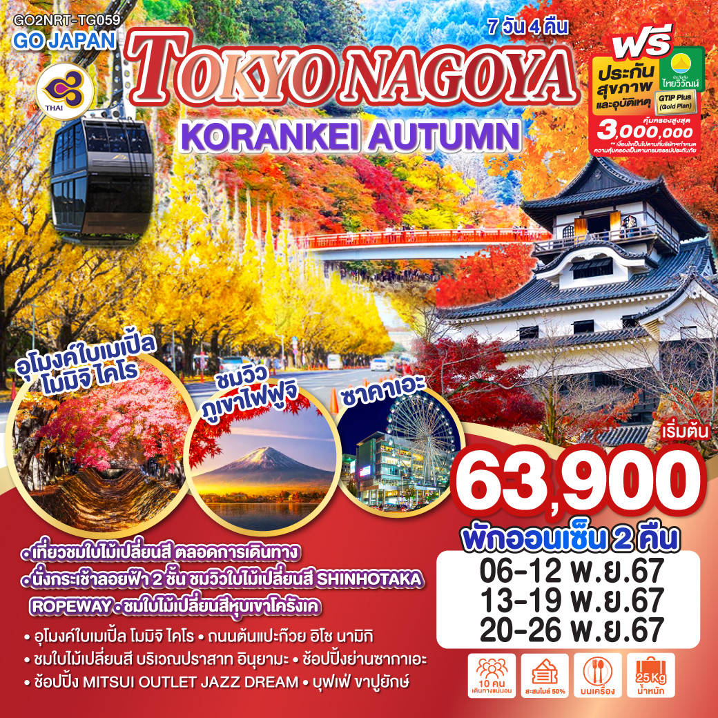 ทัวร์ญี่ปุ่น TOKYO NAGOYA KORANKEI AUTUMN 7วัน 4คืน (TG)