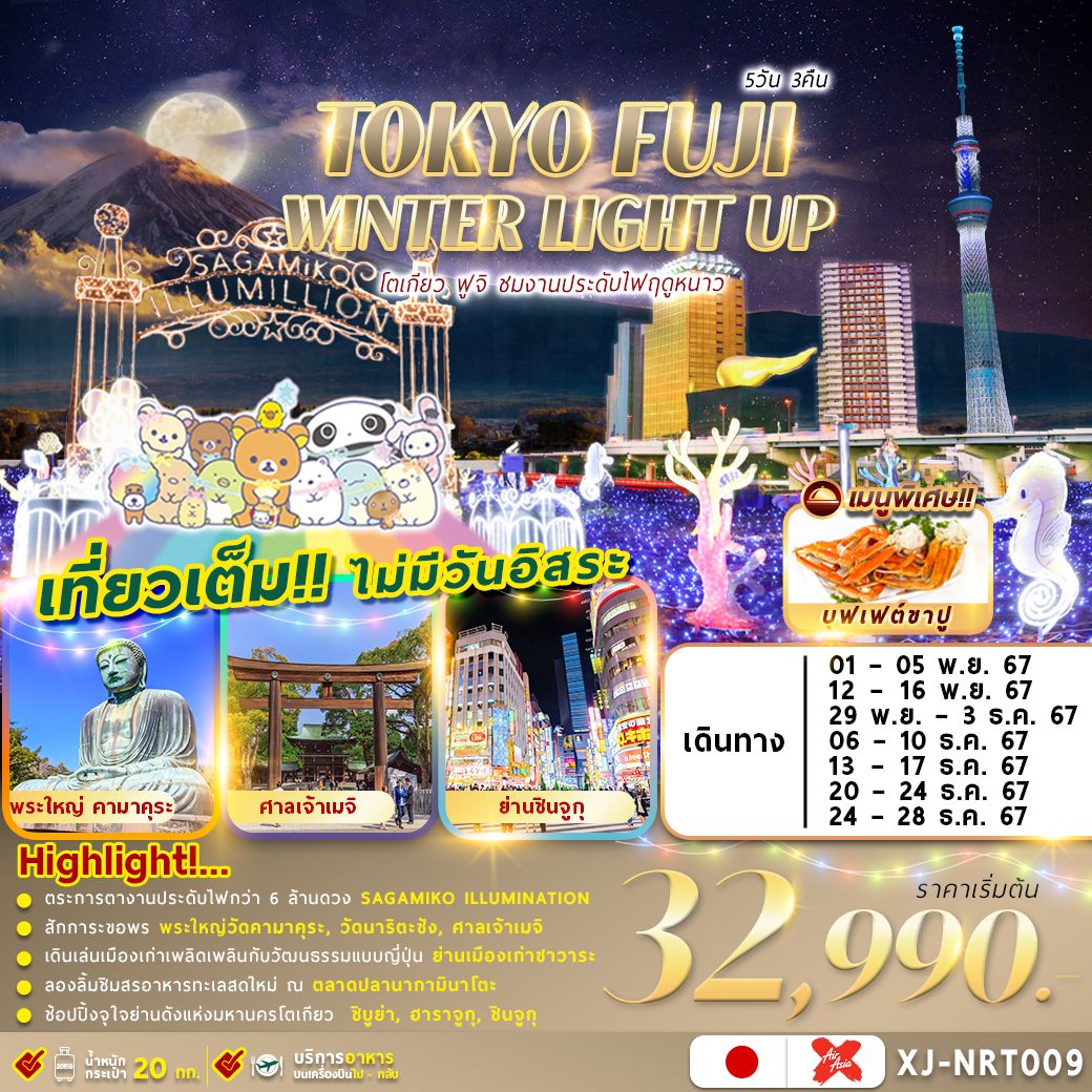 ทัวร์ญี่ปุ่น TOKYO FUJI WINTER 5D3N ชมงานประดับไฟฤดูหนาว เที่ยวเต็มไม่มีอิสระ 5วัน 3คืน (XJ)